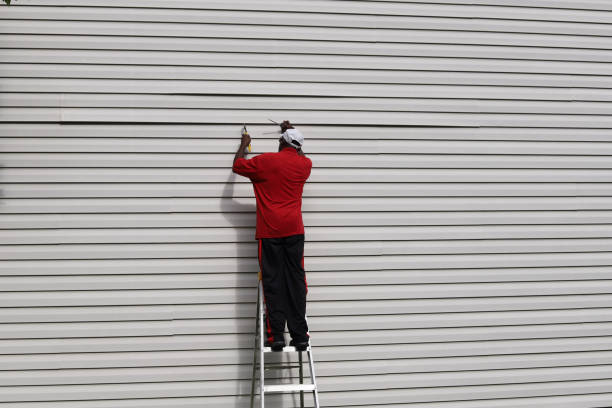 Trusted Mayville, ND Siding Experts