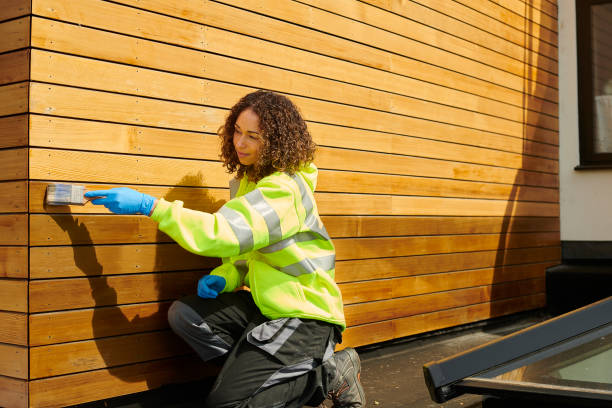 Best Siding Painting and Refinishing  in Mayville, ND